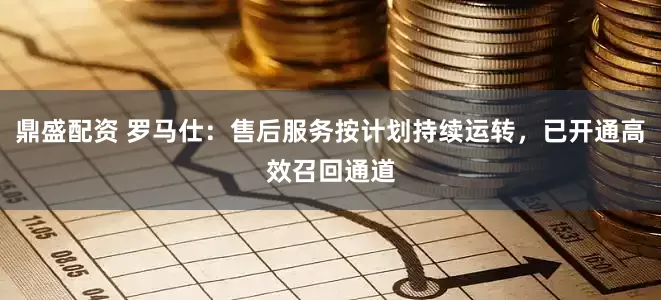 鼎盛配资 罗马仕：售后服务按计划持续运转，已开通高效召回通道