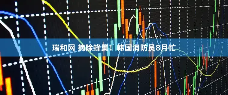 瑞和网 摘除蜂巢！韩国消防员8月忙