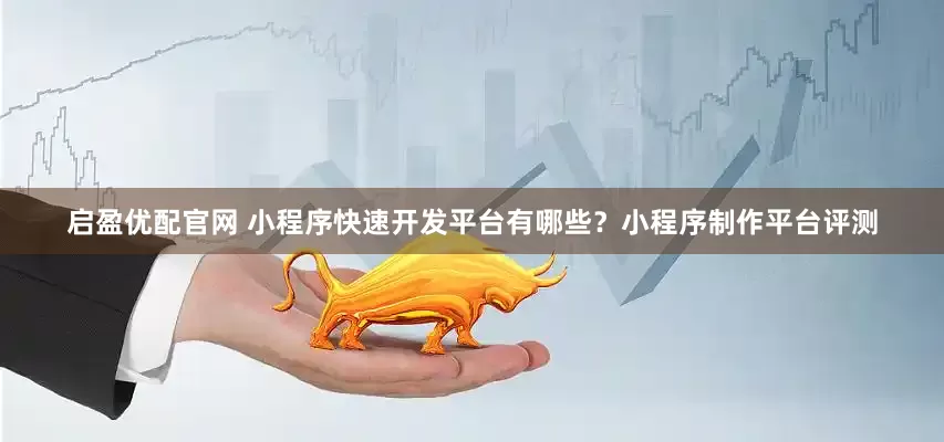 启盈优配官网 小程序快速开发平台有哪些？小程序制作平台评测