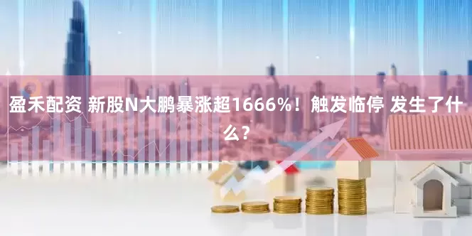 盈禾配资 新股N大鹏暴涨超1666%！触发临停 发生了什么？
