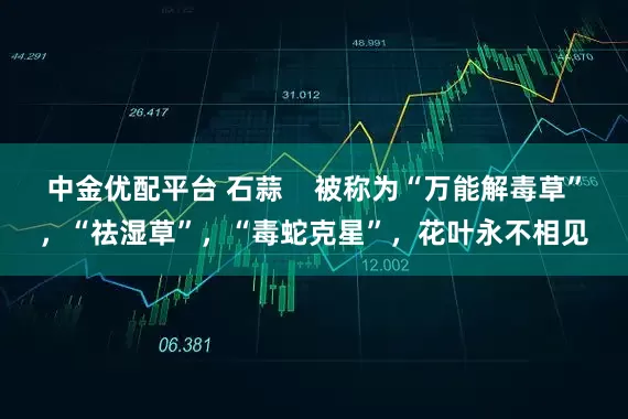 中金优配平台 石蒜    被称为“万能解毒草”，“祛湿草”，“毒蛇克星”，花叶永不相见